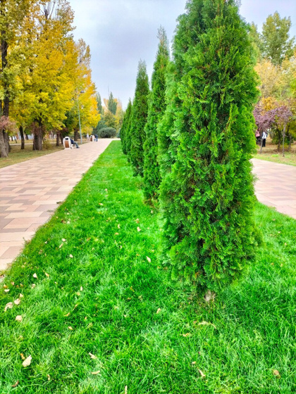 Осень, которую я люблю