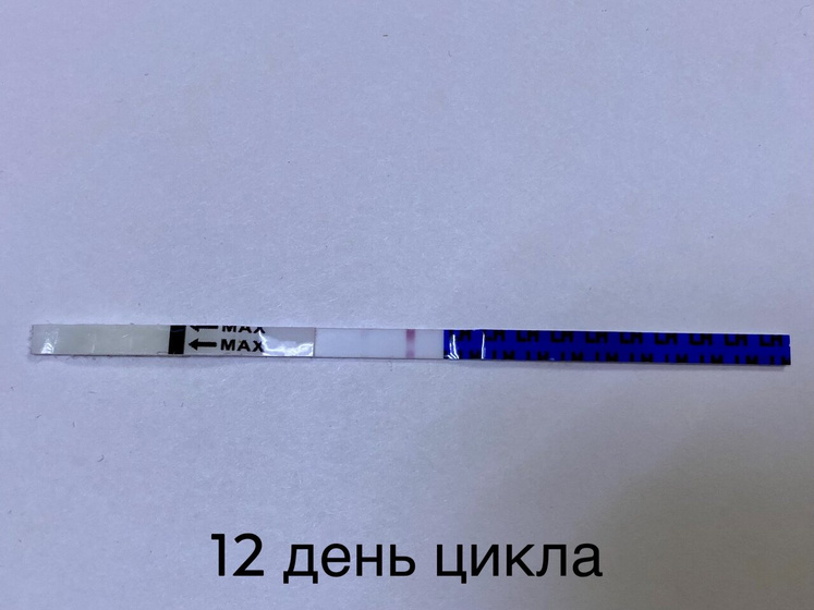 12 день цикла ( планируем вместе)🌍