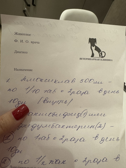 Девочки собаке прописали таблетки