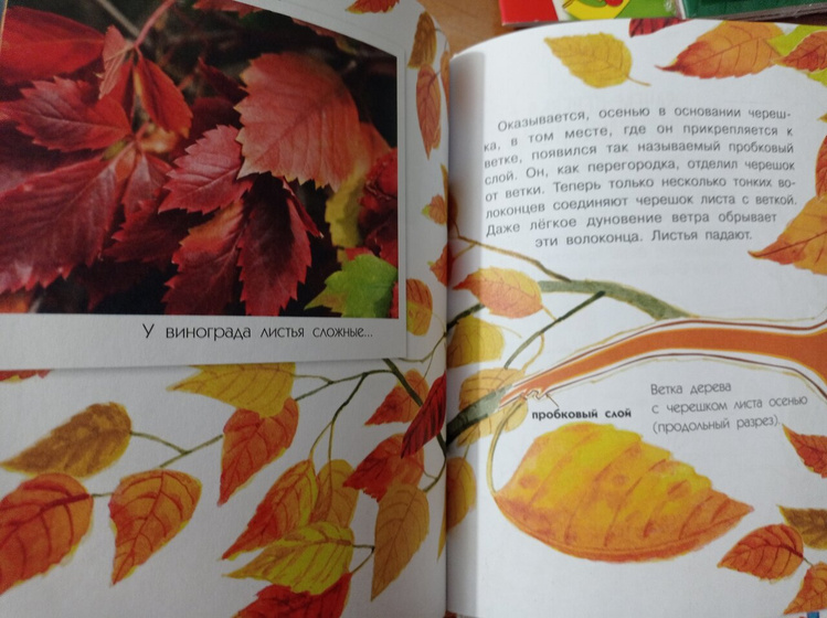 Поступление книг не только для детей, но и для меня.