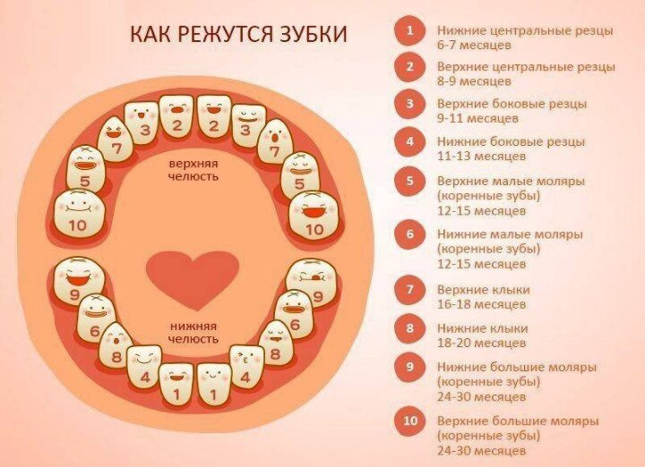 Зубы у ребёнка ?