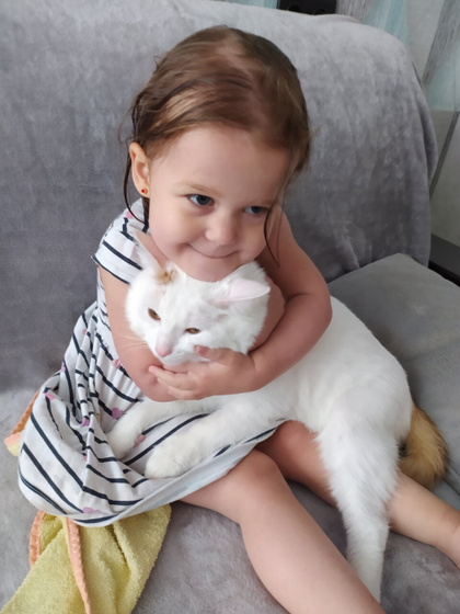 Кот