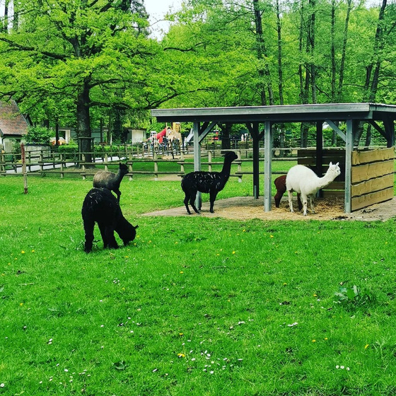 Выбрались в парк с