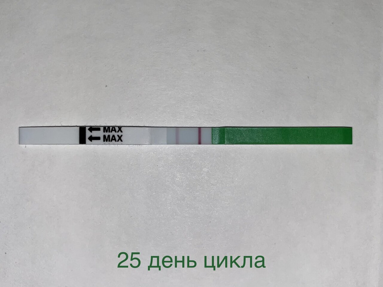 25 день цикла ??♀️