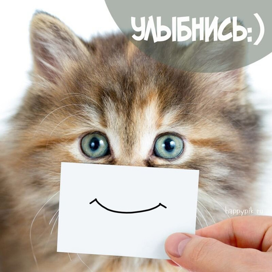 У тебя двое детей, а тебе доктор запретил вставать с постели ...