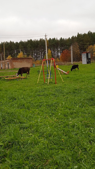 Деревенская осень)