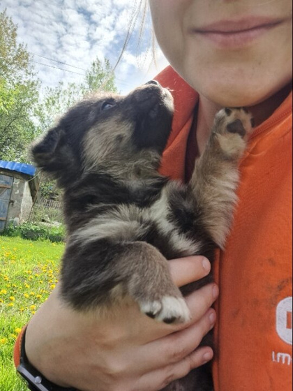 Какая кличка подходит?)