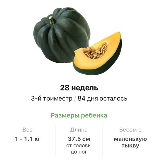 28 недель .