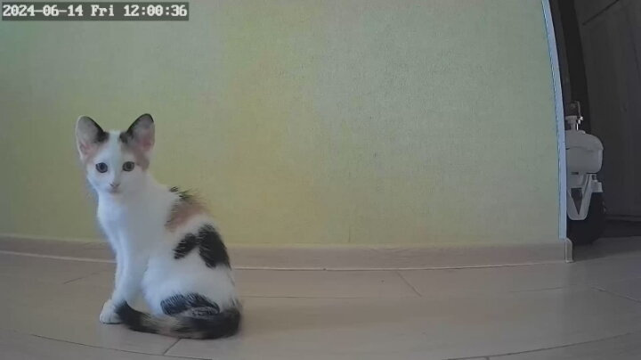 Ух, уже половина июня