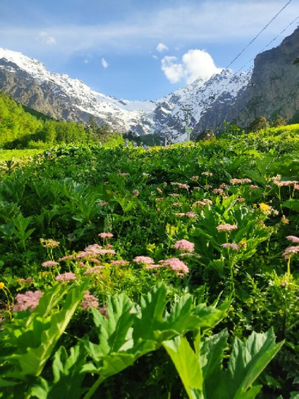 Как же красиво 💞Сынок