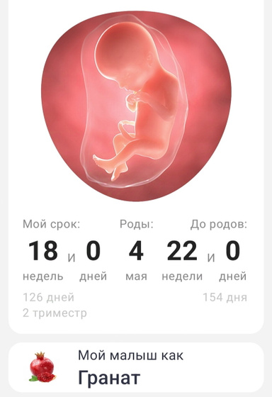 18 недель??