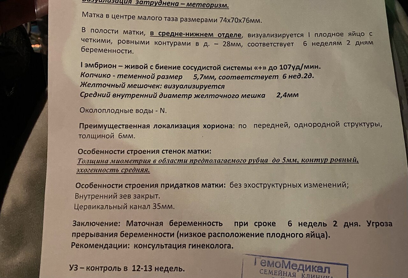 Низкое расположение плодного яйца