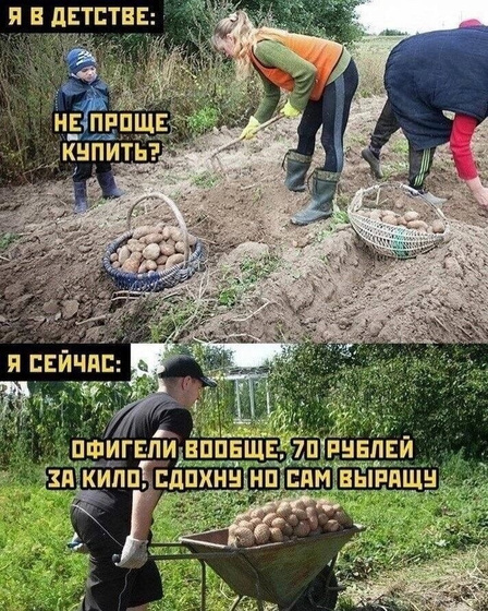 Фотография 2022-07-28 00:15:43
