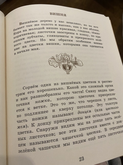 жду очень завтрашний день.