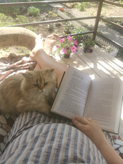 На чиле)