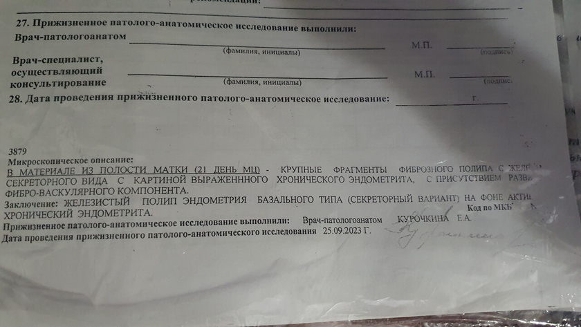 Гистология