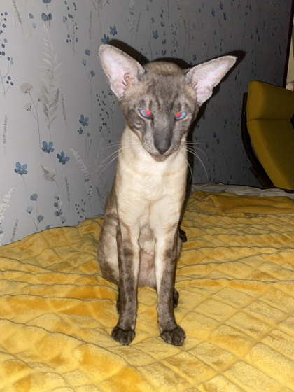 Мой нереальный❤️???