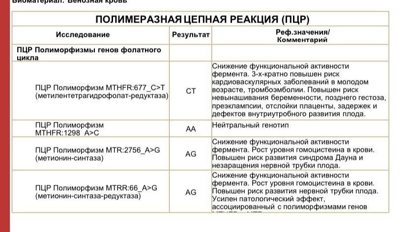 Полиморфизм генов