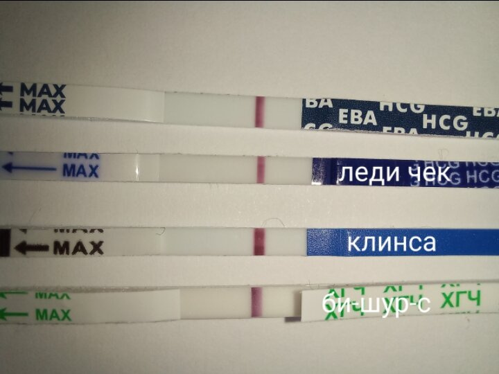 Проверка тестов