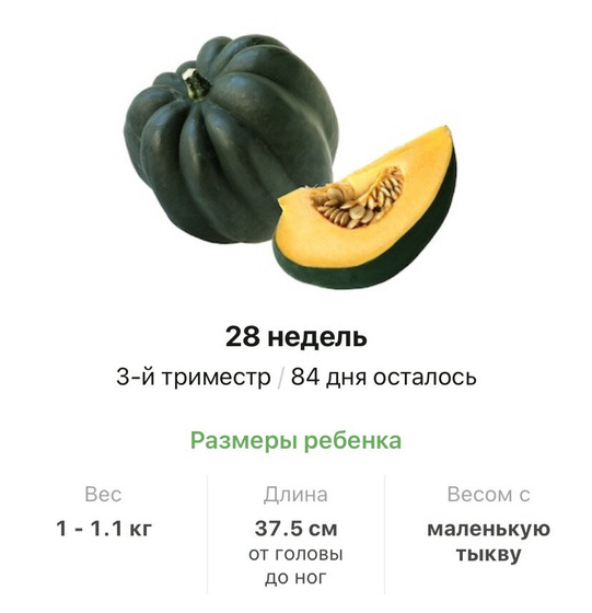 28 недель .