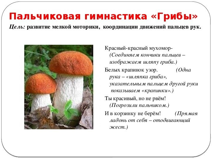 Тематическая неделька Осень 🍁. День 4. Грибной день. 🍄