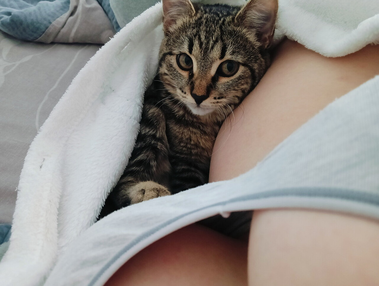 По мнению коськи, это лучшее место в 100кв.м ??♀️