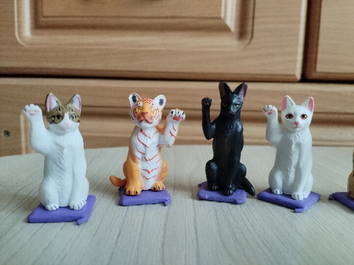 Котики из КБ??