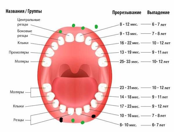 Лезут нижние резцы, отмечены