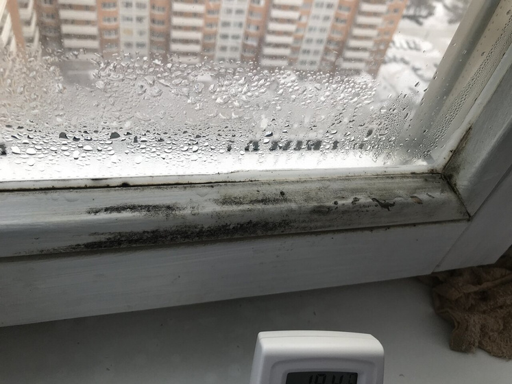 В продолжение к теме плесени