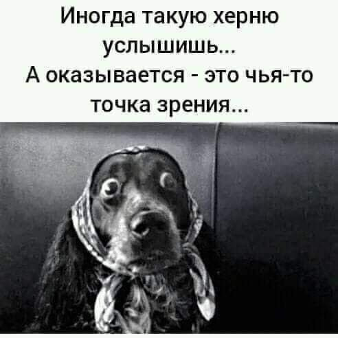 Фотография 2021-02-22 02:59:23