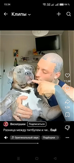 Собака