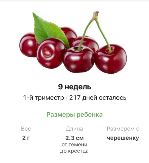 9 недель .