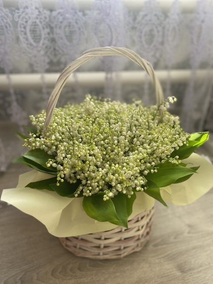 Срок начала первых родов,длительность