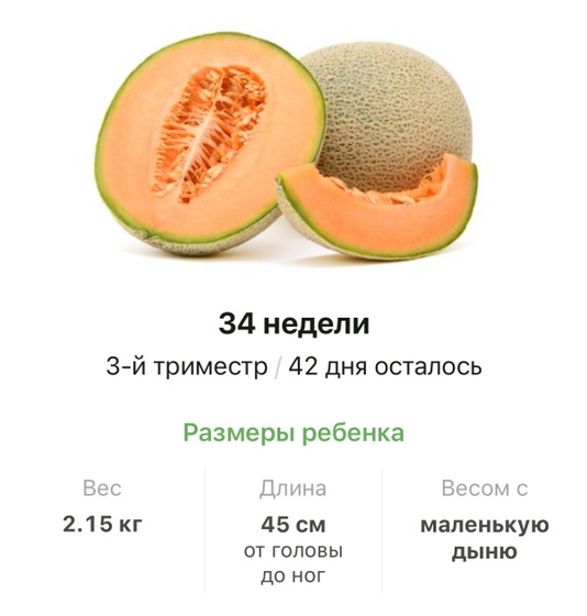 34 недели .