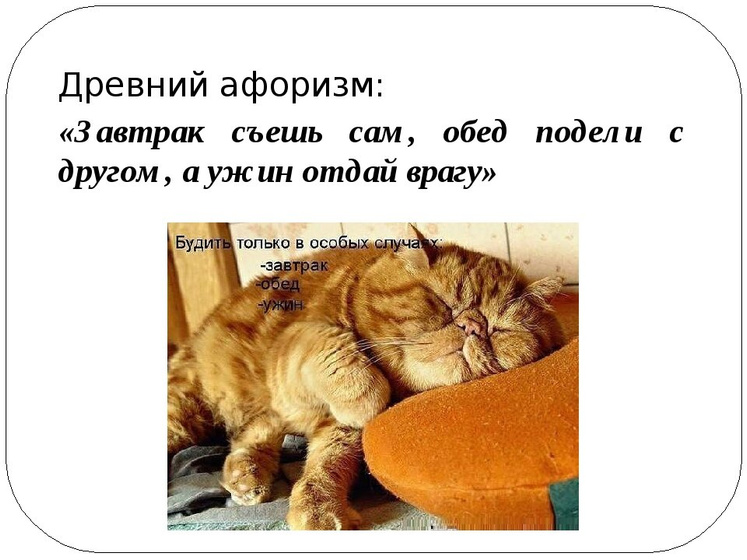Сколько ккал должен быть обед на ПП?