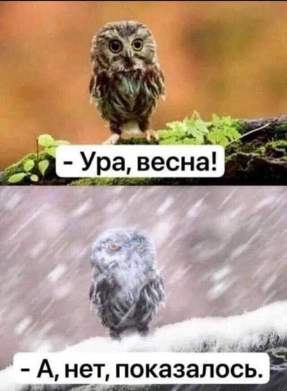 Кто чем занимается?
