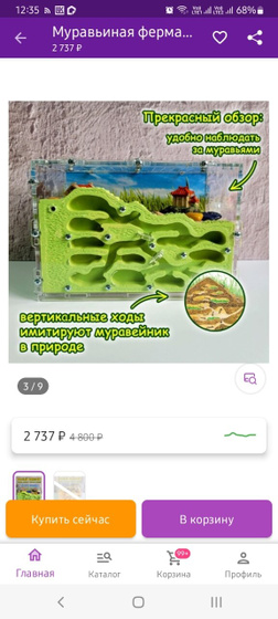 Муравьиная ферма