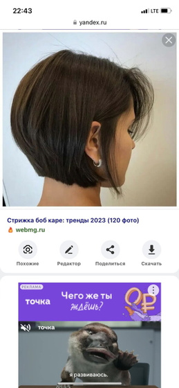 Решились бы вы на