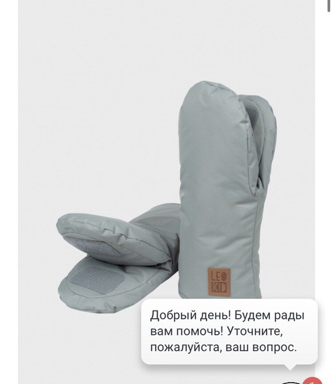 Зимняя выписка