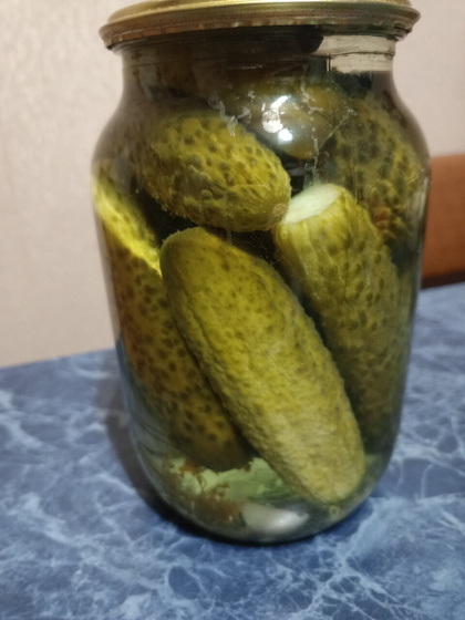Летняя жизнь и земля многодетным