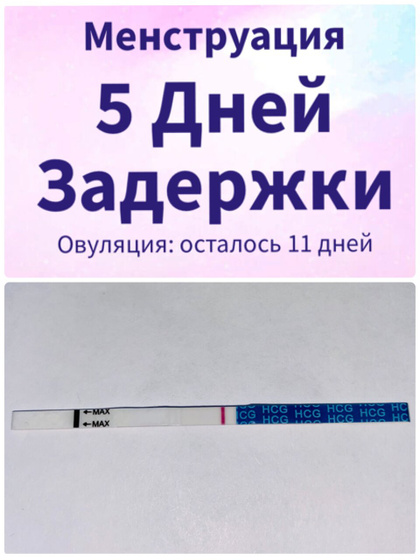 Кто меня помнит ?❤️