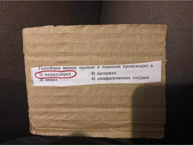 Про огэ по устным предметам