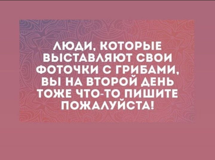 Фотография 2024-08-15 15:14:56