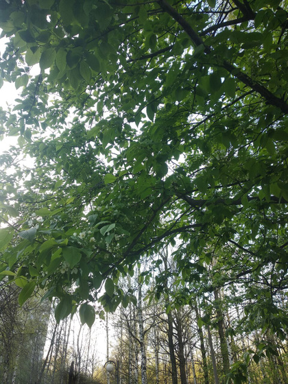 С днём победы всех