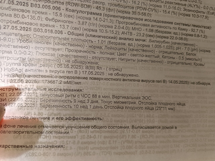 11 недель