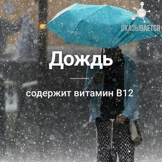 Удивительные факты?