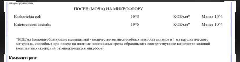 Бак посев