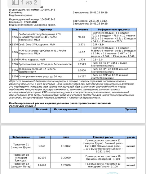 Добрый день.