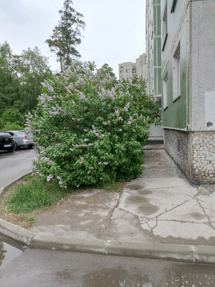 Когда название улицы 