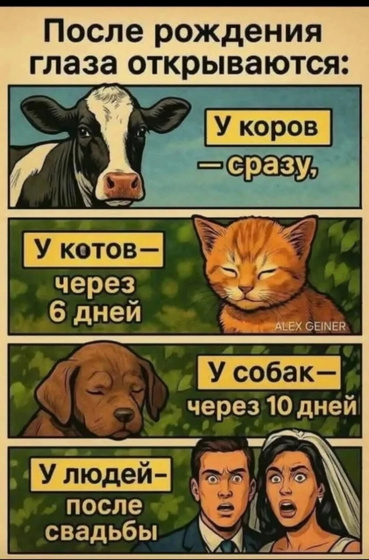 немножко юмора 😅
